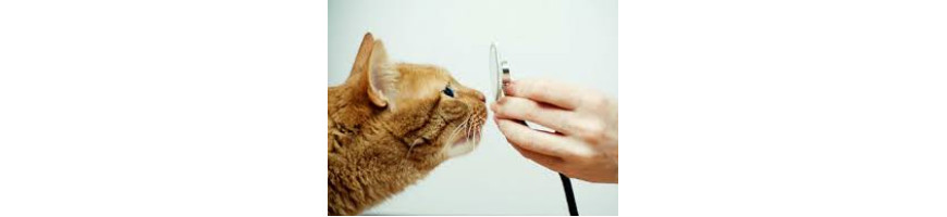 Royal Canin Veterinary Diets Cat Food 獸醫配方貓糧